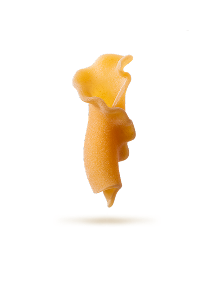 Terza